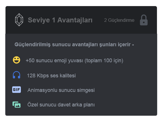 Discord Nitro Ne İşe Yarar? 7 seviye1
