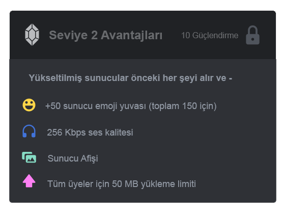 Discord Nitro Ne İşe Yarar? 8 seviye2